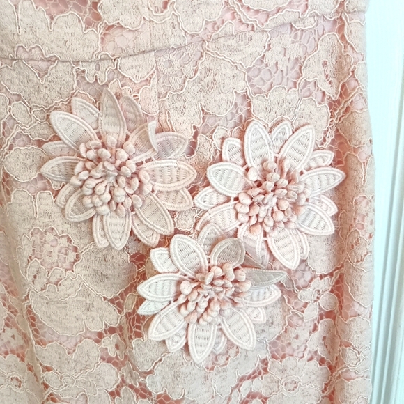 Maggie London size 10 pink lace midi dress - Picture 3 of 5